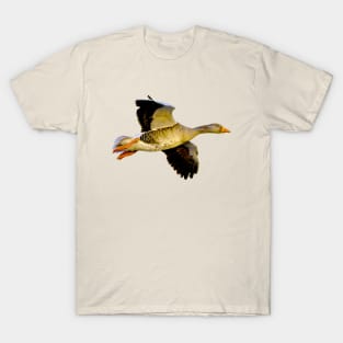 Greylag goose T-Shirt